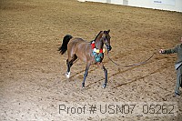 usn07_05262 proof