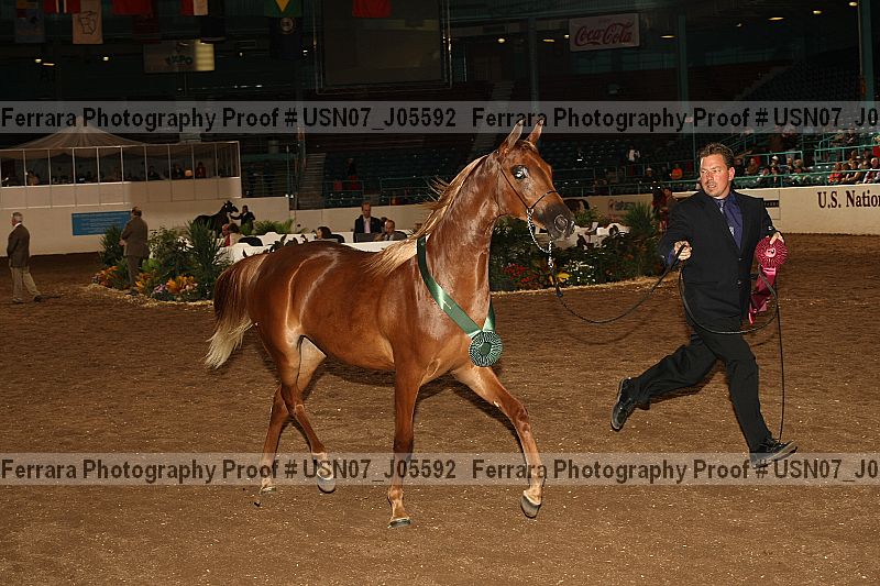 Proof usn07_j05592
