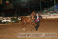 usn07_j05593 proof