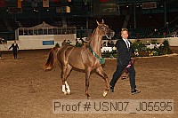 usn07_j05595 proof
