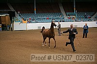 usn07_02370 proof
