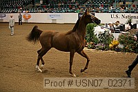 usn07_02371 proof