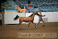 usn07_02372 proof