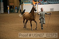 usn07_02373 proof