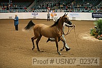 usn07_02374 proof