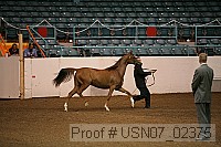 usn07_02375 proof