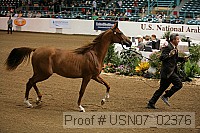 usn07_02376 proof