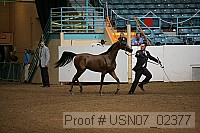 usn07_02377 proof