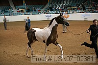 usn07_02381 proof