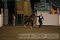 usn07_02382 proof