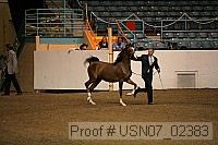 usn07_02383 proof