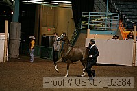 usn07_02384 proof