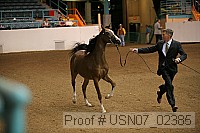 usn07_02385 proof