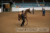 usn07_02387 proof