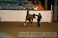 usn07_02388 proof