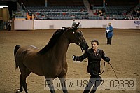 usn07_02389 proof