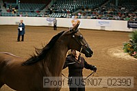 usn07_02390 proof