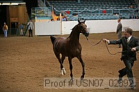 usn07_02392 proof