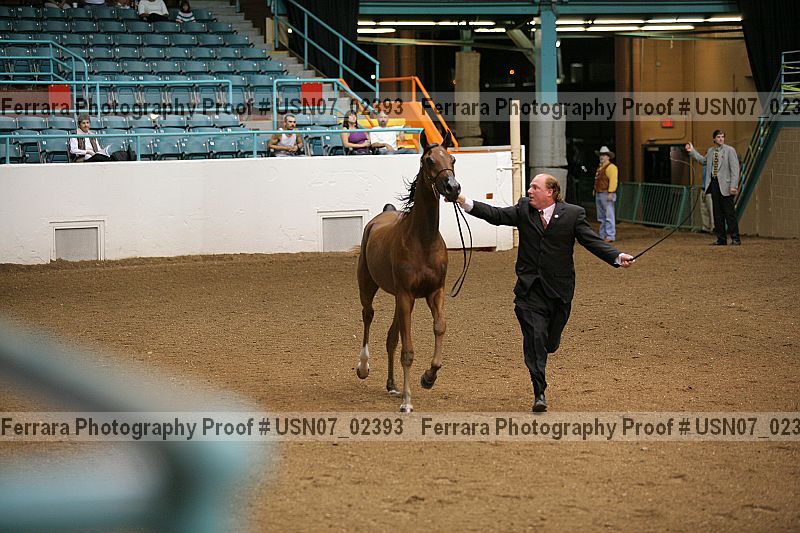 Proof usn07_02393