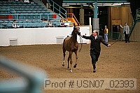 usn07_02393 proof