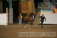 usn07_02394 proof