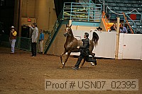 usn07_02395 proof