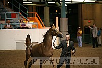 usn07_02396 proof