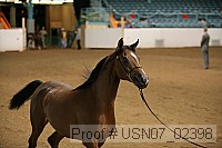 usn07_02398 proof