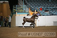 usn07_02399 proof