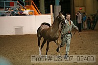 usn07_02400 proof