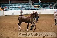 usn07_02401 proof