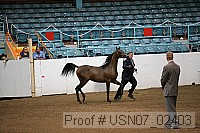 usn07_02403 proof