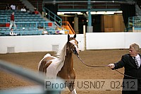 usn07_02412 proof