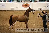 usn07_02413 proof