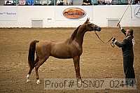 usn07_02414 proof