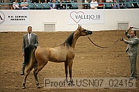 usn07_02415 proof