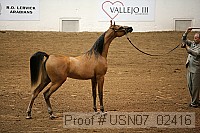 usn07_02416 proof