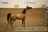 usn07_02417 proof