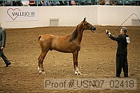usn07_02418 proof