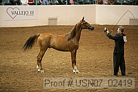 usn07_02419 proof