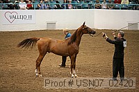 usn07_02420 proof