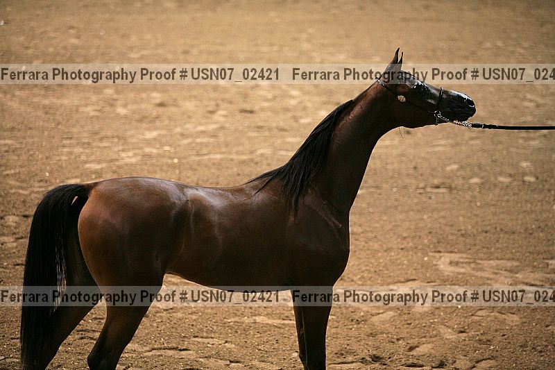 Proof usn07_02421
