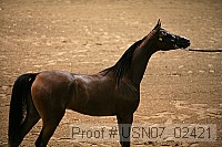 usn07_02421 proof