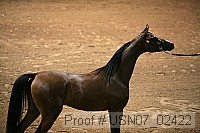 usn07_02422 proof
