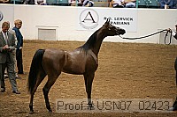 usn07_02423 proof
