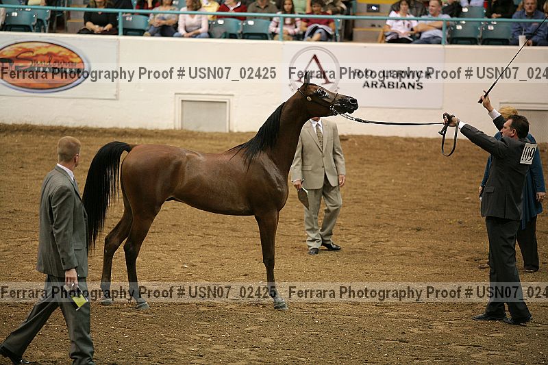 Proof usn07_02425