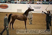 usn07_02425 proof