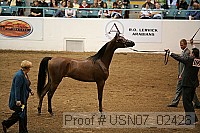 usn07_02426 proof