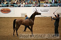 usn07_02427 proof