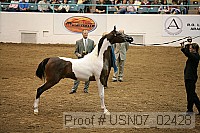 usn07_02428 proof